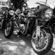 Illustration for article titled Distinguished Gentlemans Ride Fort Lauderdale